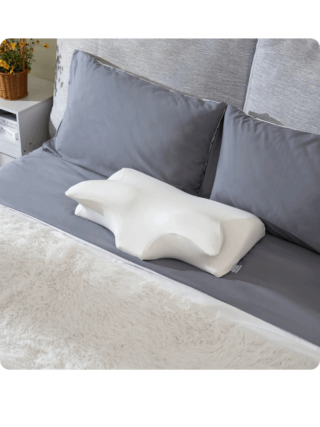 Ergo Z Pillow